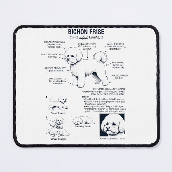 Item preview, Bichon Frise Scientific Anatomy Biology Dog Lover designed and sold by dian-rody-crest.