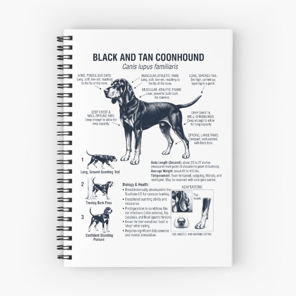 Item preview, Black and Tan Coonhound Scientific Anatomy Biology Dog Lover designed and sold by dian-rody-crest.