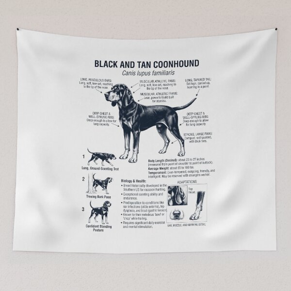 Item preview, Black and Tan Coonhound Scientific Anatomy Biology Dog Lover designed and sold by dian-rody-crest.
