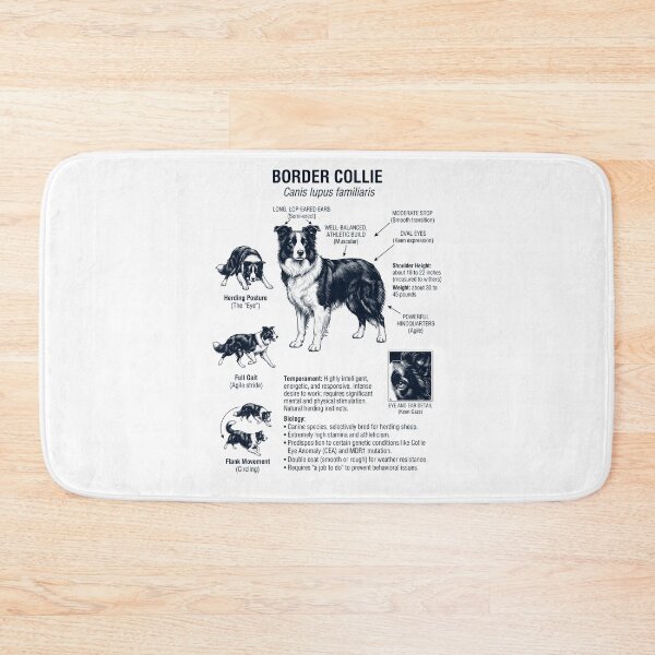 Item preview, Border Collie Scientific Anatomy Biology Dog Lover designed and sold by dian-rody-crest.
