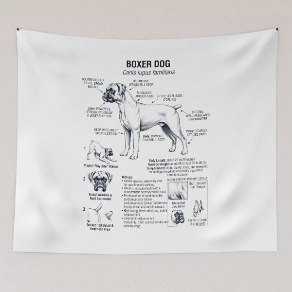 Item preview, Boxer Dog Scientific Anatomy Biology Dog Lover designed and sold by dian-rody-crest.