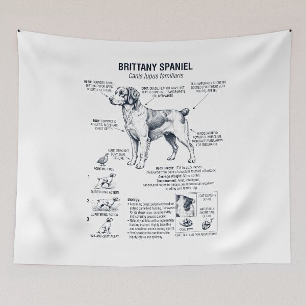 Item preview, Brittany Scientific Anatomy Biology Dog Lover designed and sold by dian-rody-crest.