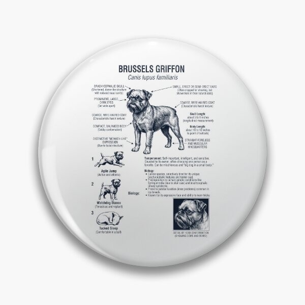 Item preview, Brussels Griffon Scientific Anatomy Biology Dog Lover designed and sold by dian-rody-crest.