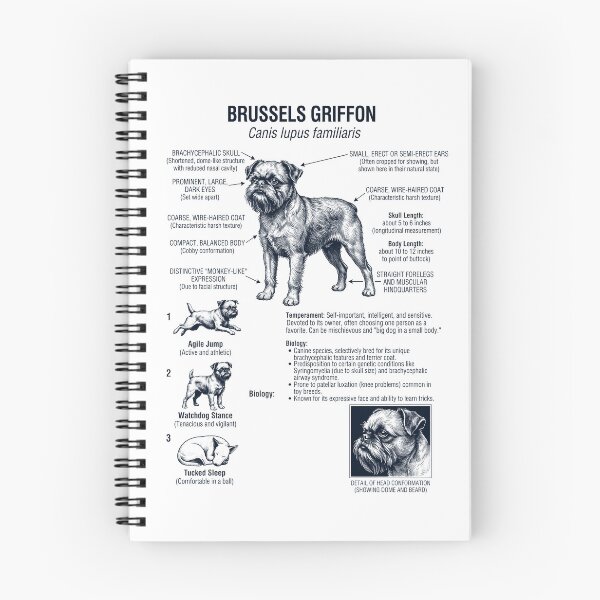 Item preview, Brussels Griffon Scientific Anatomy Biology Dog Lover designed and sold by dian-rody-crest.