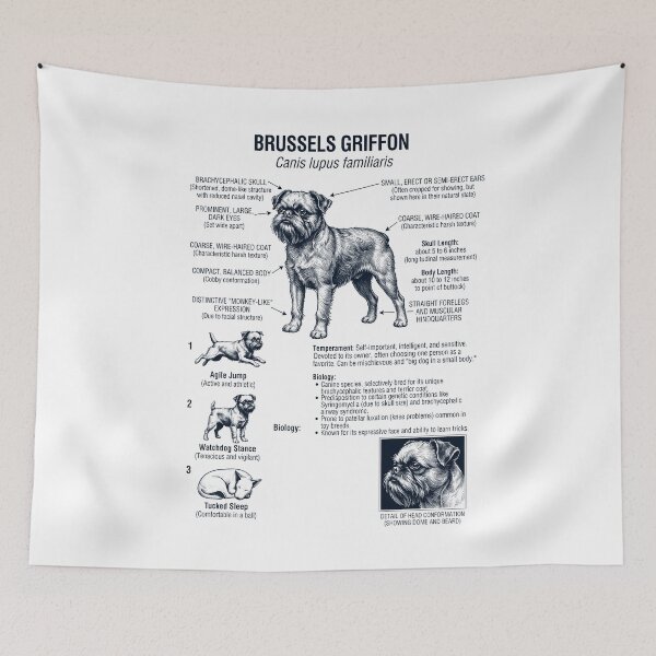 Item preview, Brussels Griffon Scientific Anatomy Biology Dog Lover designed and sold by dian-rody-crest.