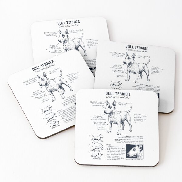 Item preview, Bull Terrier Scientific Anatomy Biology Dog Lover designed and sold by dian-rody-crest.