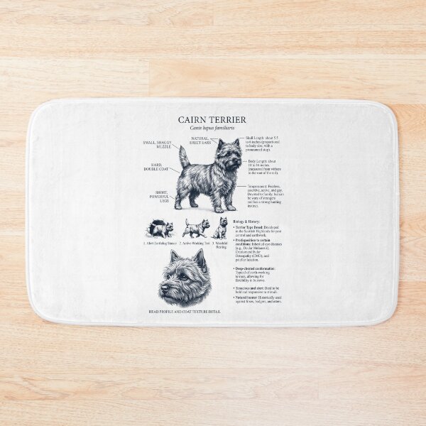 Item preview, Cairn Terrier Scientific Anatomy Biology Dog Lover designed and sold by dian-rody-crest.