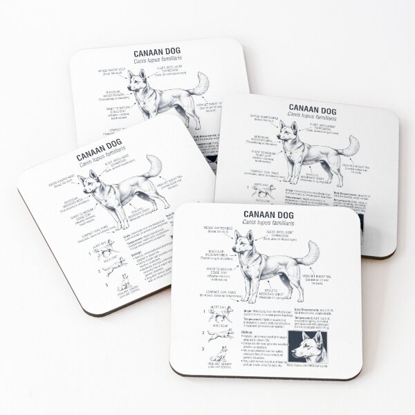 Item preview, Canaan Dog Scientific Anatomy Biology Dog Lover designed and sold by dian-rody-crest.