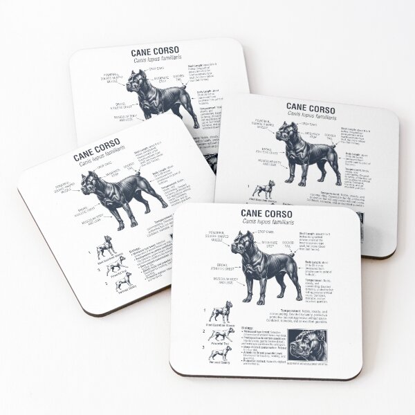 Item preview, Cane Corso Anatomía Científica Biología Amante de los Perros designed and sold by dian-rody-crest.