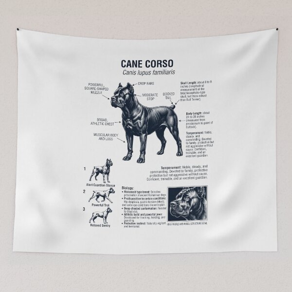 Item preview, Cane Corso Scientific Anatomy Biology Dog Lover designed and sold by dian-rody-crest.