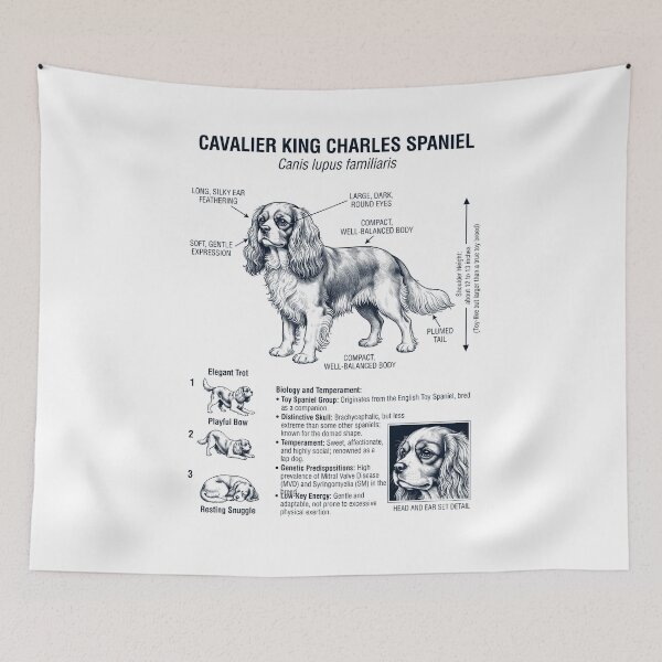 Item preview, Cavalier King Charles Spaniel Scientific Anatomy Biology Dog Lover designed and sold by dian-rody-crest.