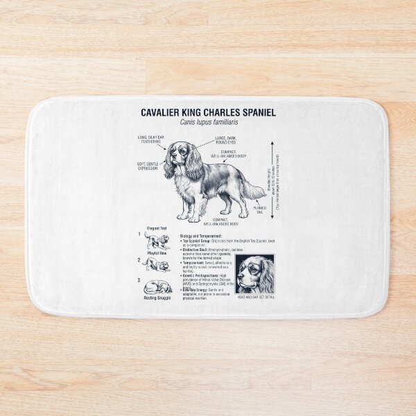 Item preview, Cavalier King Charles Spaniel Scientific Anatomy Biology Dog Lover designed and sold by dian-rody-crest.