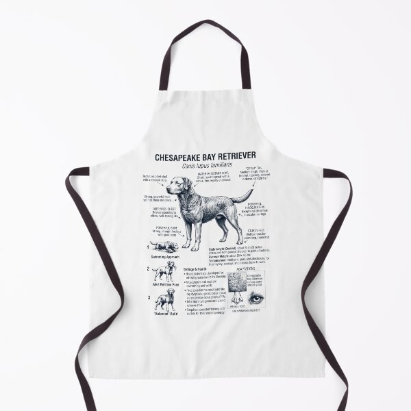 Item preview, Chesapeake Bay Retriever Scientific Anatomy Biology Dog Lover designed and sold by dian-rody-crest.