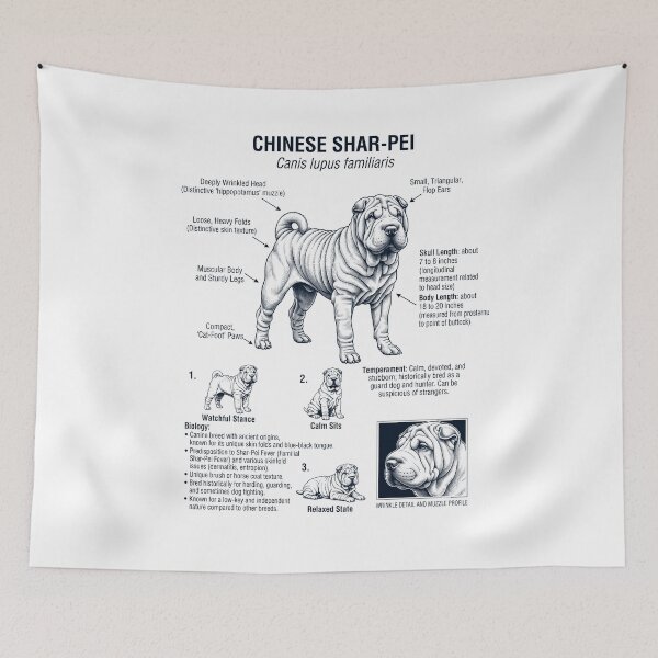 Item preview, Chinese Shar Pei Scientific Anatomy Biology Dog Lover designed and sold by dian-rody-crest.