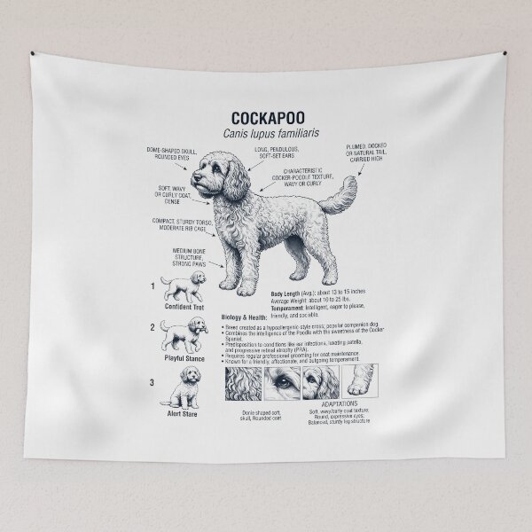 Artikelvorschau, Cockapoo – Wissenschaftliche Anatomie, Biologie, Hundeliebhaber entworfen und verkauft von dian-rody-crest.