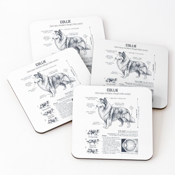 Item preview, Collie Scientific Anatomy Biology Dog Lover designed and sold by dian-rody-crest.