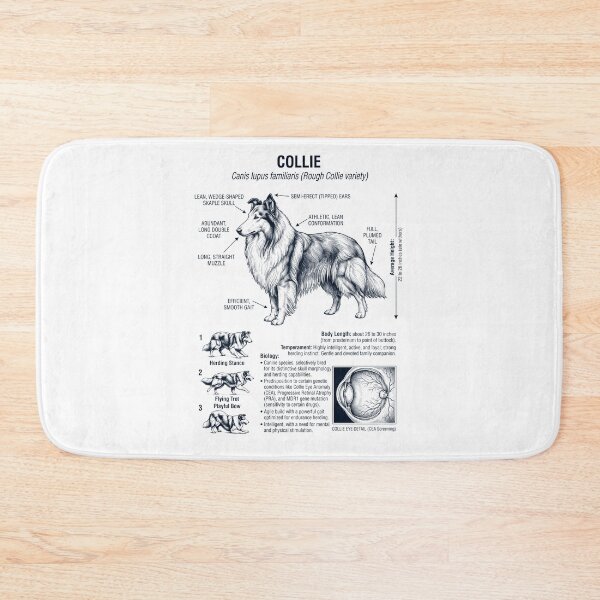 Item preview, Collie Scientific Anatomy Biology Dog Lover designed and sold by dian-rody-crest.