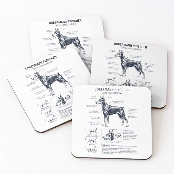 Item preview, Doberman Pinscher Scientific Anatomy Biology Dog Lover designed and sold by dian-rody-crest.