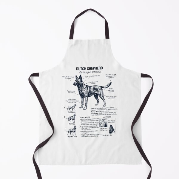 Aperçu de l'œuvre Berger Hollandais Anatomie Scientifique Biologie Amoureux des Chiens créée et vendue par dian-rody-crest.