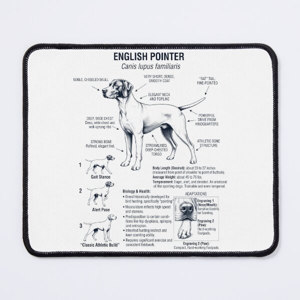 Item preview, English Pointer Scientific Anatomy Biology Dog Lover designed and sold by dian-rody-crest.