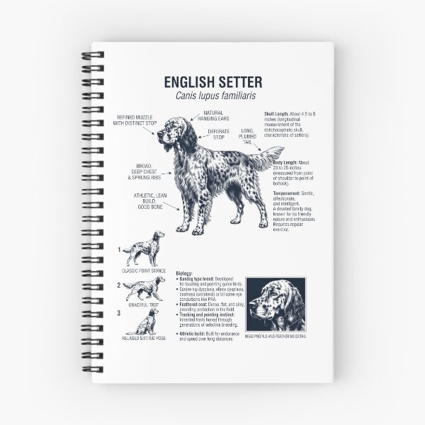 Item preview, English Setter Scientific Anatomy Biology Dog Lover designed and sold by dian-rody-crest.