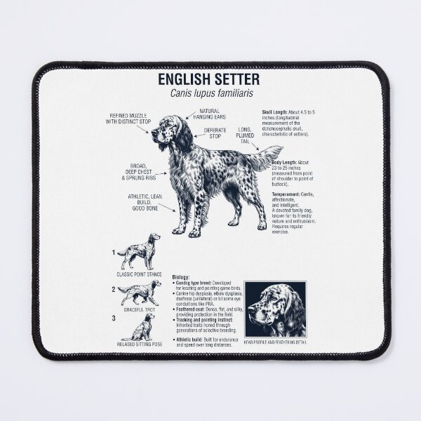 Item preview, English Setter Scientific Anatomy Biology Dog Lover designed and sold by dian-rody-crest.