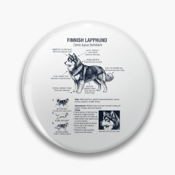 Item preview, Finnish Lapphund Scientific Anatomy Biology Dog Lover designed and sold by dian-rody-crest.