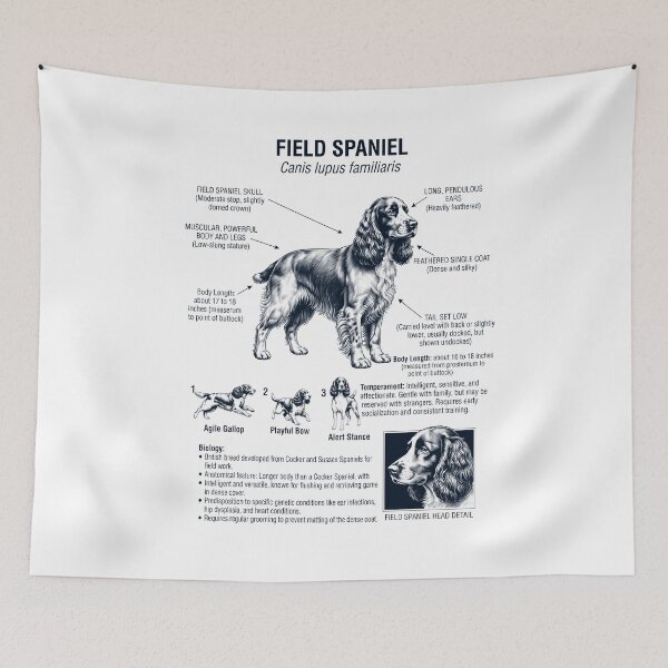 Item preview, Field Spaniel Scientific Anatomy Biology Dog Lover designed and sold by dian-rody-crest.