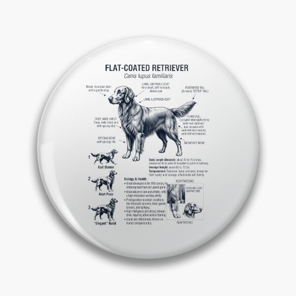 Item preview, Flat Coated Retriever Anatomía científica Biología Amante de los perros designed and sold by dian-rody-crest.