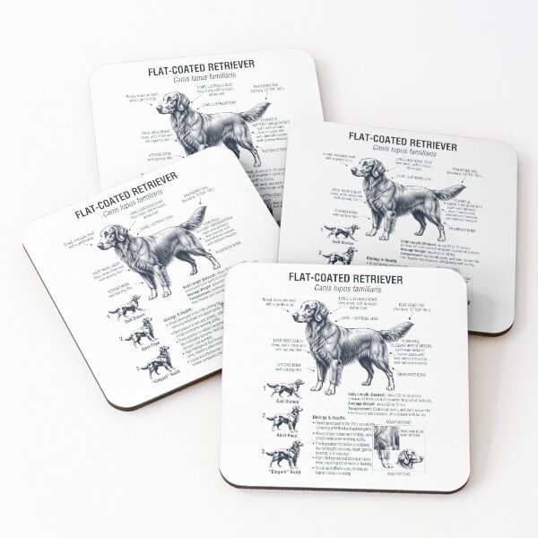 Item preview, Flat Coated Retriever Anatomía científica Biología Amante de los perros designed and sold by dian-rody-crest.