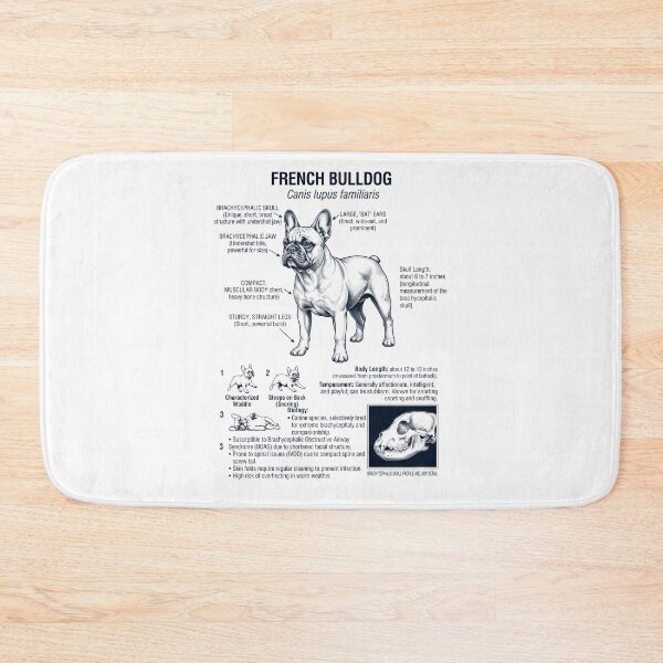 Item preview, French Bulldog Scientific Anatomy Biology Dog Lover designed and sold by dian-rody-crest.