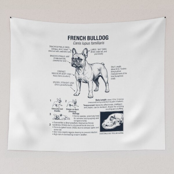 Item preview, French Bulldog Scientific Anatomy Biology Dog Lover designed and sold by dian-rody-crest.