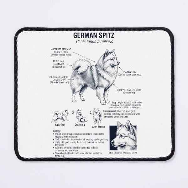 Item preview, German Spitz Scientific Anatomy Biology Dog Lover designed and sold by dian-rody-crest.
