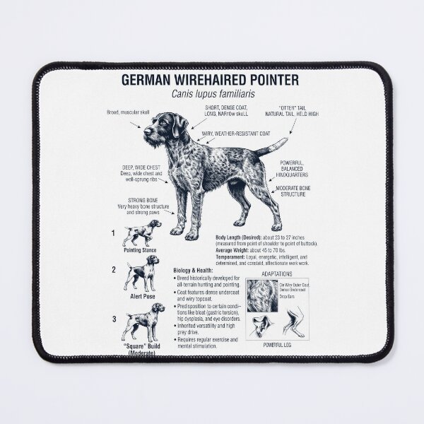 Item preview, German Wirehaired Pointer Scientific Anatomy Biology Dog Lover designed and sold by dian-rody-crest.
