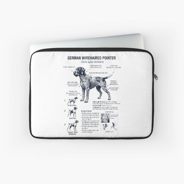 Item preview, German Wirehaired Pointer Scientific Anatomy Biology Dog Lover designed and sold by dian-rody-crest.