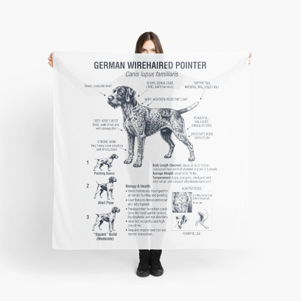 Item preview, German Wirehaired Pointer Scientific Anatomy Biology Dog Lover designed and sold by dian-rody-crest.
