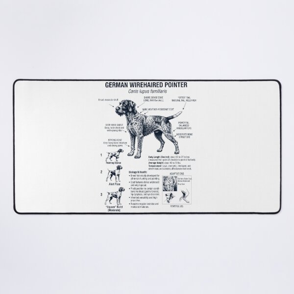 Item preview, German Wirehaired Pointer Scientific Anatomy Biology Dog Lover designed and sold by dian-rody-crest.