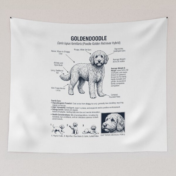 Item preview, Goldendoodle Scientific Anatomy Biology Dog Lover designed and sold by dian-rody-crest.