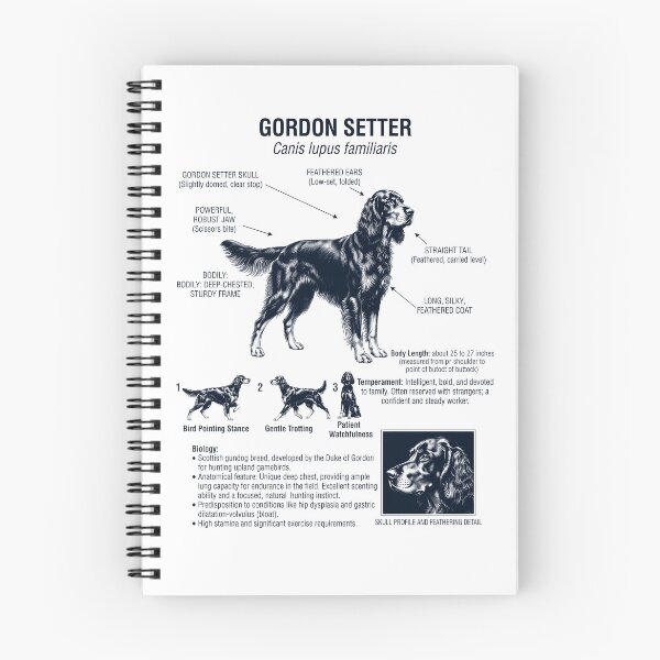 Artikelvorschau, Gordon Setter – Wissenschaftliche Anatomie, Biologie, Hundeliebhaber entworfen und verkauft von dian-rody-crest.
