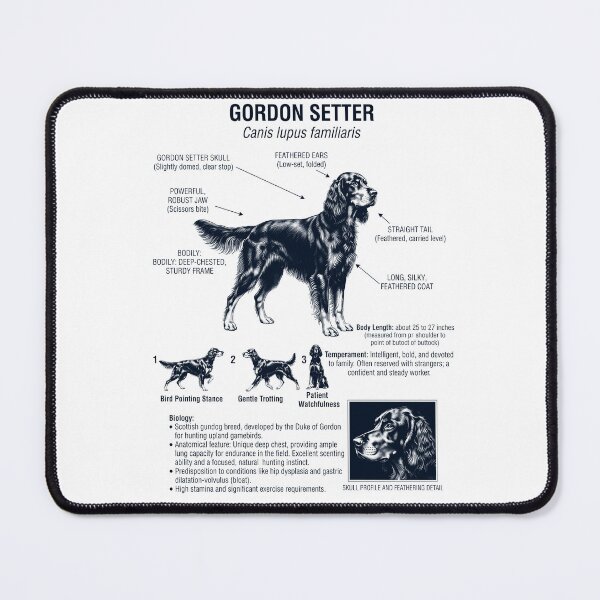 Item preview, Gordon Setter Scientific Anatomy Biology Dog Lover designed and sold by dian-rody-crest.