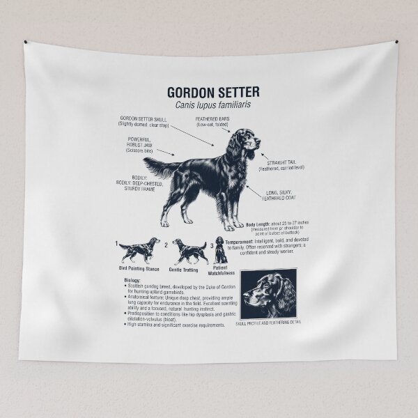Item preview, Gordon Setter Scientific Anatomy Biology Dog Lover designed and sold by dian-rody-crest.