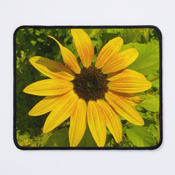 Item preview, Sunny Days 1.2 designed and sold by Abeink1030.