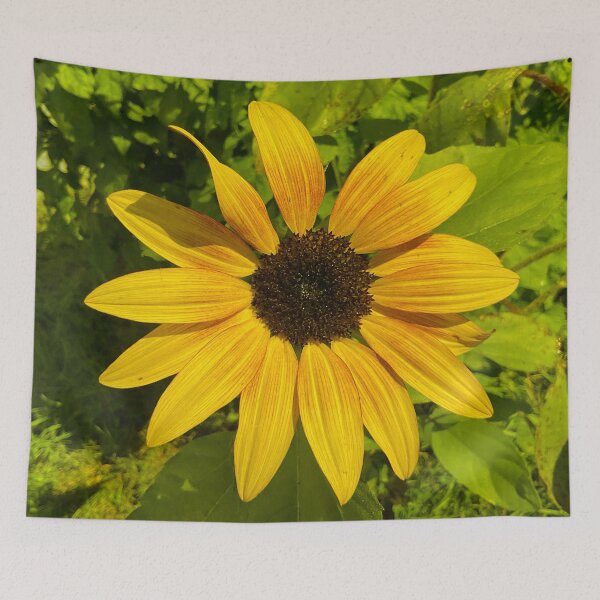 Item preview, Sunny Days 1.2 designed and sold by Abeink1030.