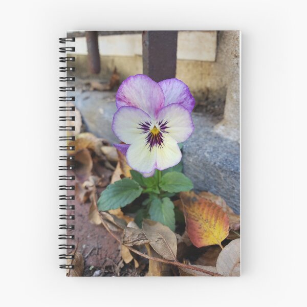 Item preview, Pavementplant Pansy in Pennsport designed and sold by concretebotany.