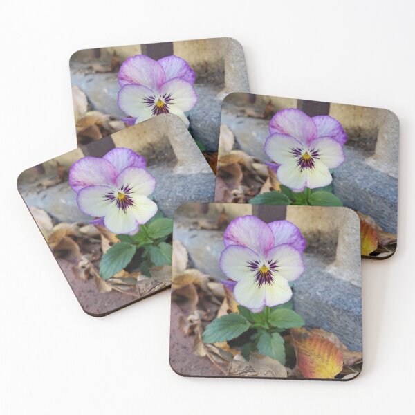 Item preview, Pavementplant Pansy in Pennsport designed and sold by concretebotany.