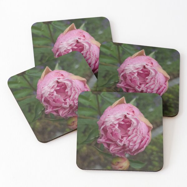 Item preview, Amsterdam Starbucks cCanal Sunset designed and sold by Karinouthuys.