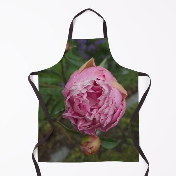 Item preview, Amsterdam Starbucks cCanal Sunset designed and sold by Karinouthuys.