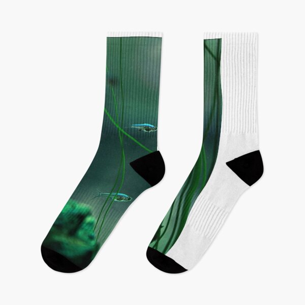 Item preview, Sweet Skechers fFruit Selection designed and sold by agvcdrd.