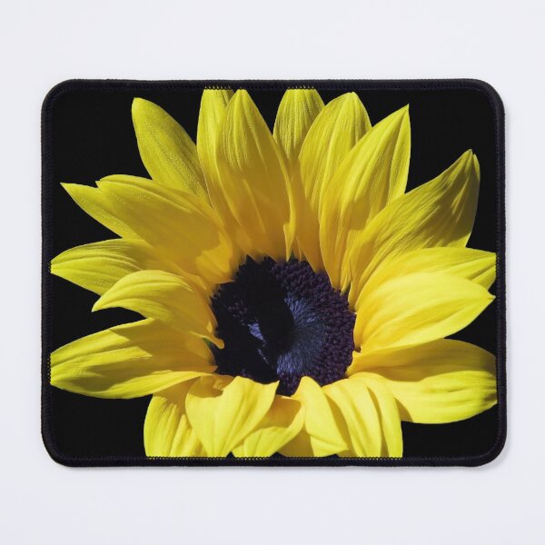 Item preview, A Very Beautiful Sunflower In The Sunlight designed and sold by JonnaHurmerinta.