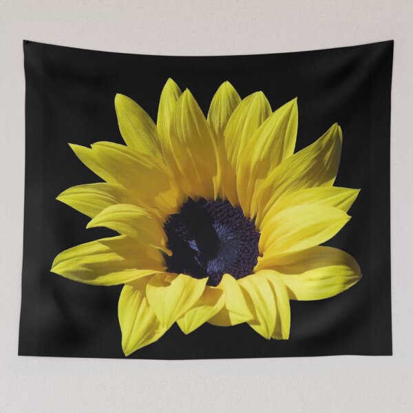 Item preview, A Very Beautiful Sunflower In The Sunlight designed and sold by JonnaHurmerinta.